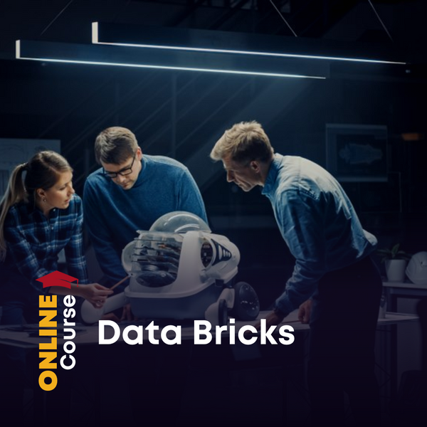 Data Bricks