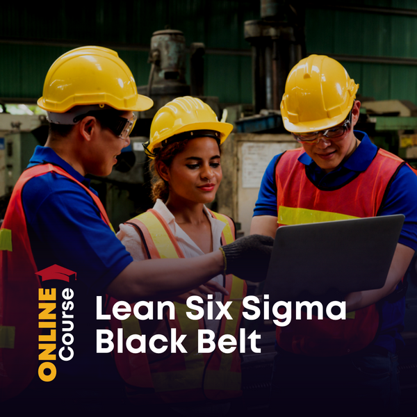 Lean Six Sigma Black Belt